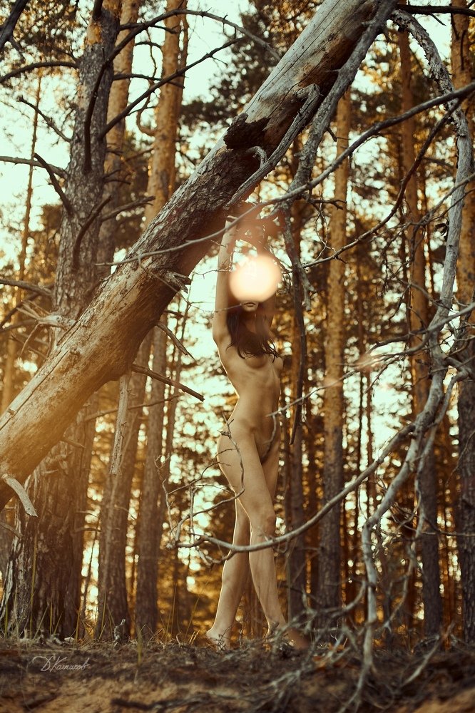 Photograph by Дмитрий Колпаков