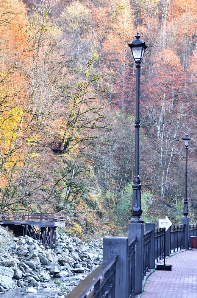 Photograph by Денис Тар