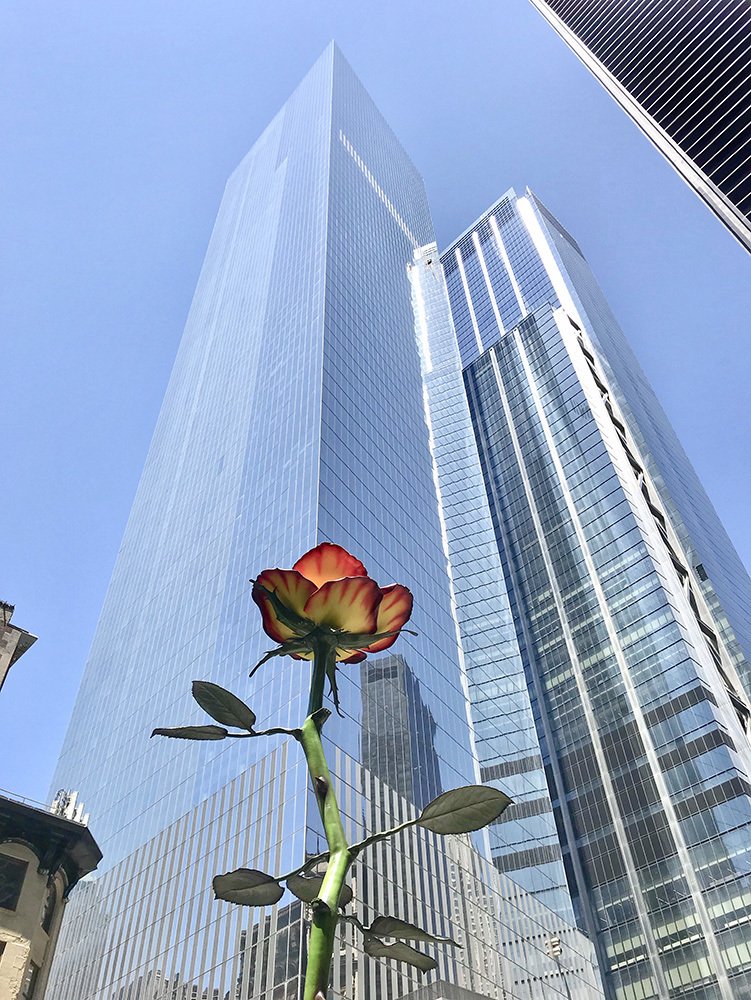 Photograph by Галина Ломако