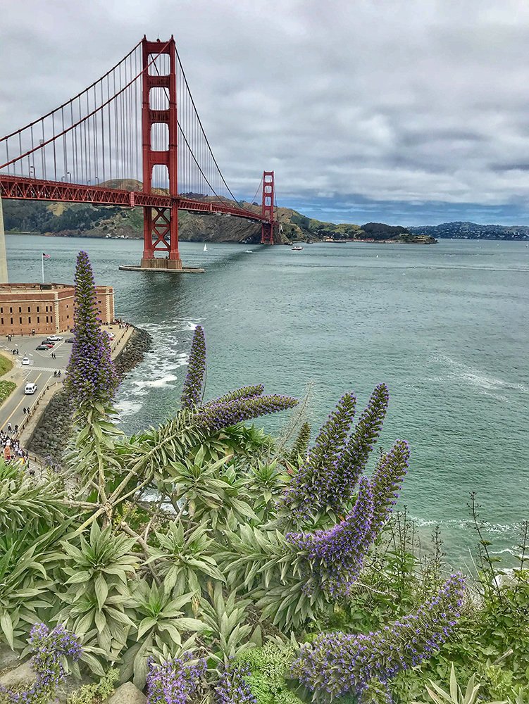 Photograph by Галина Ломако