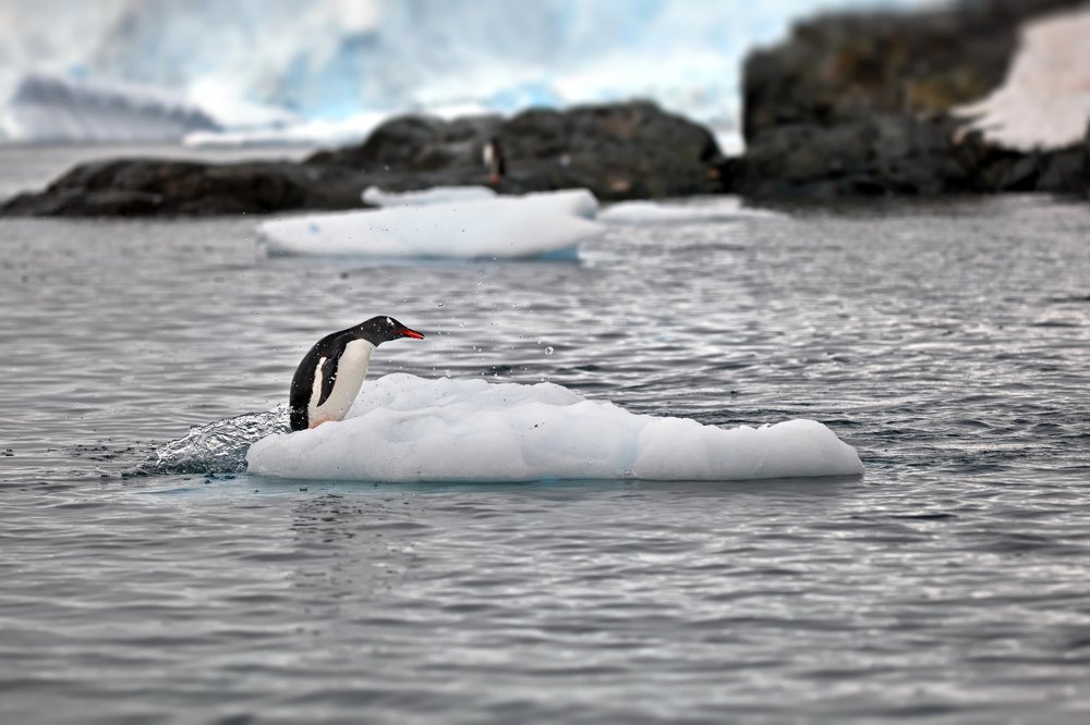 Моторная лодка