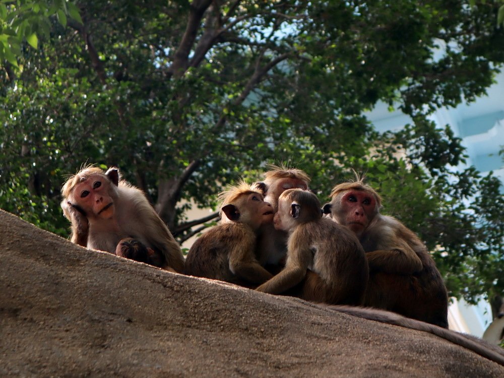 Photograph by Дарья Попова