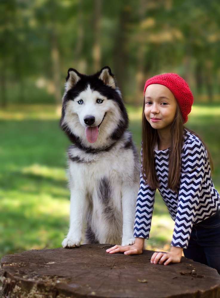 Красная шапочка.