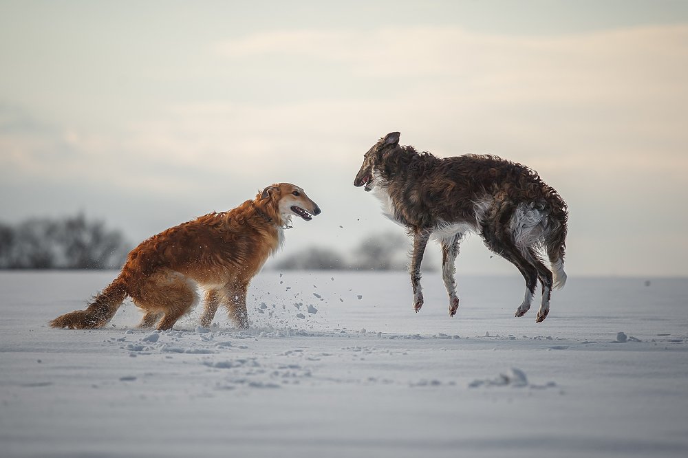 Photograph by Наташа Алехина