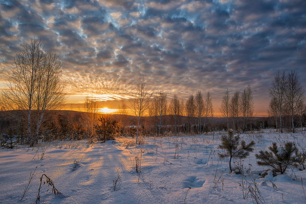 Photograph by Алексей Кулаков