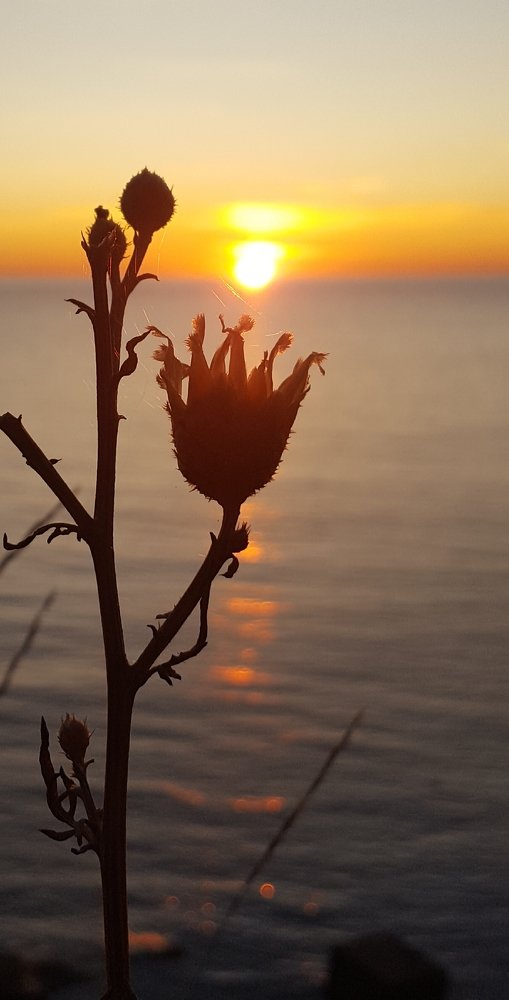 Сказки на закате.