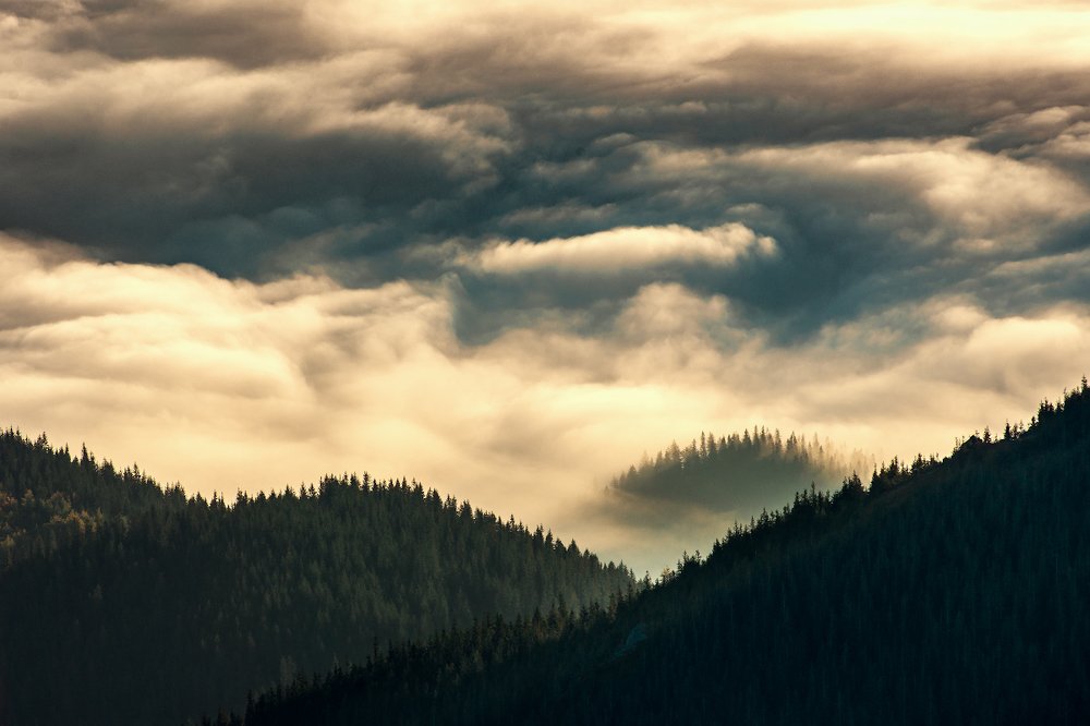 Photograph by Сергей Коляцкин