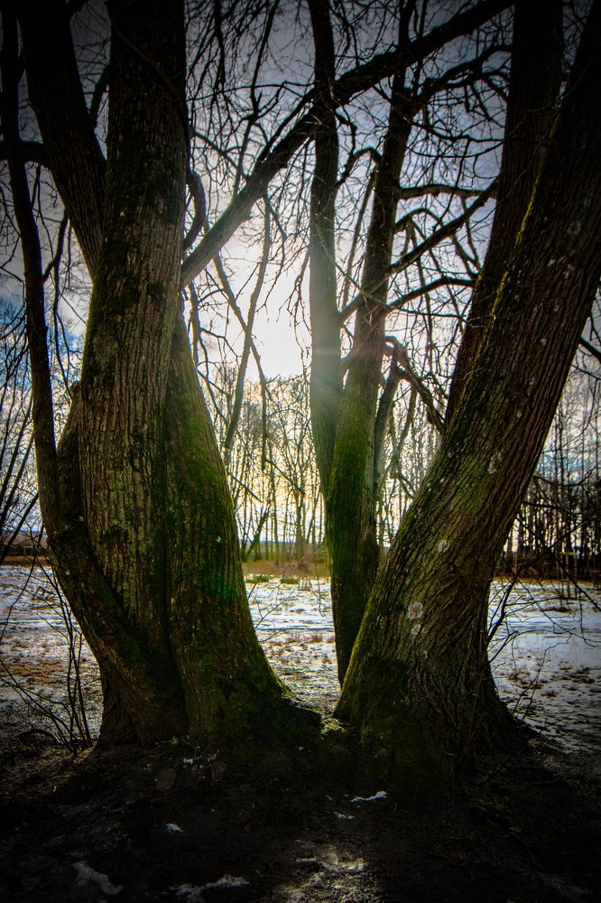 Photograph by Ольга Сафронова