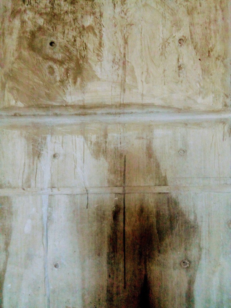 Фотография автора Orlando Silvio Silvera Hernández