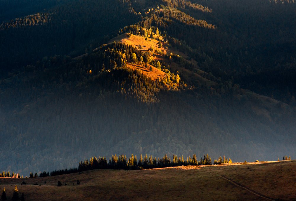 Photograph by Сергей Коляцкин