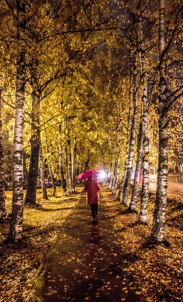 Photograph by Ольга Сафронова