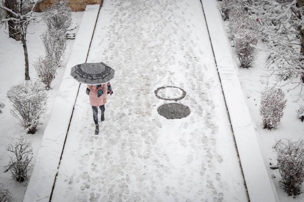 Photograph by Pourarab Mohammad Mahdi