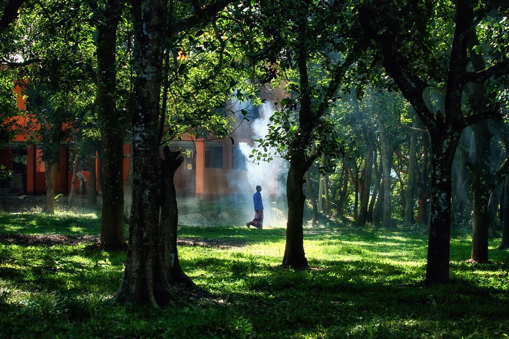 Photograph by Amit Chowdhury