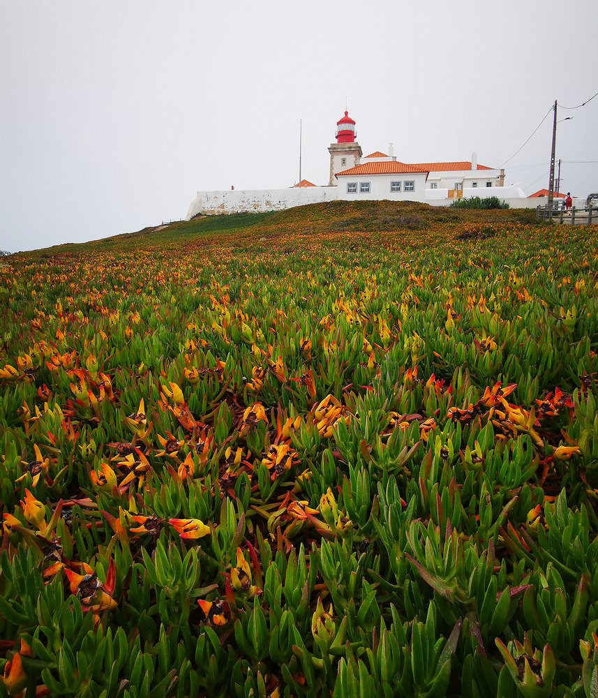 Фотография автора Василий Рябовол