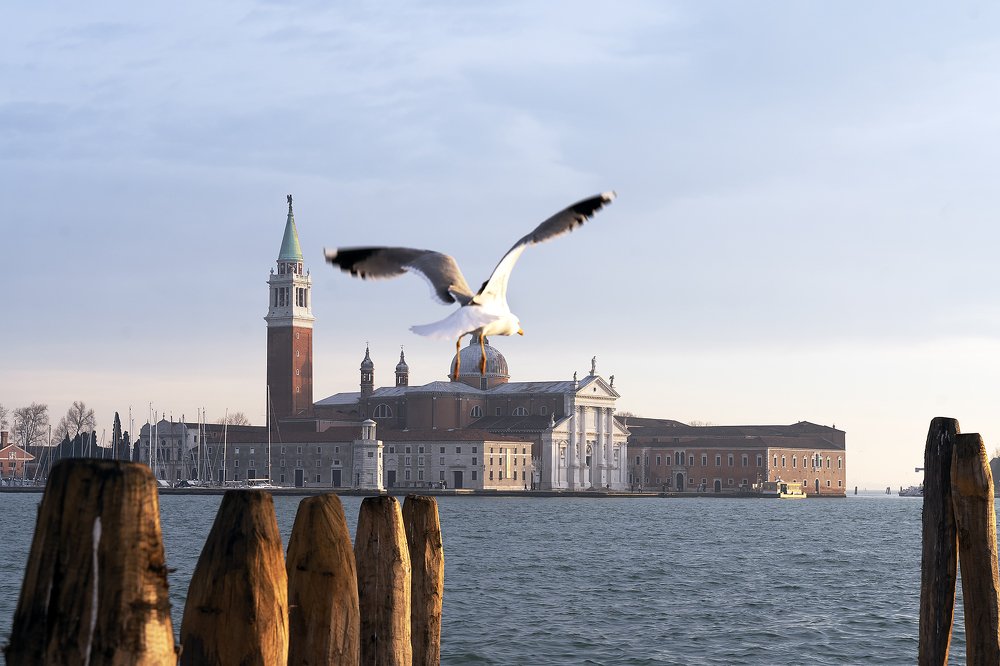 Фотография автора Василий Рябовол