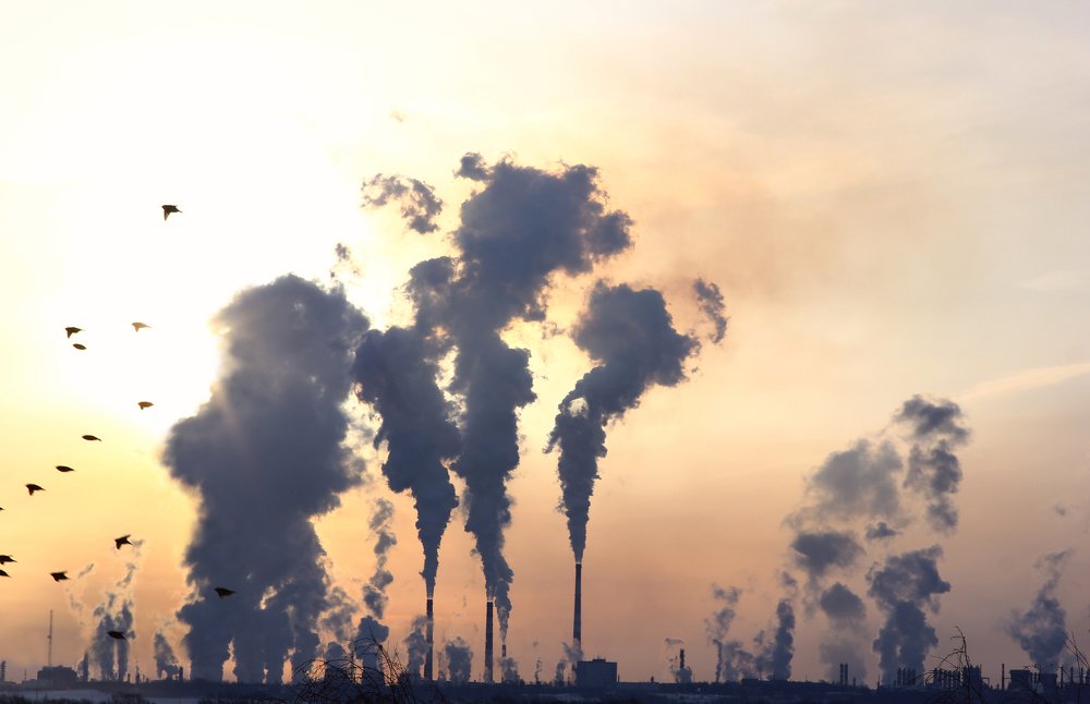 Photograph by ALBERT