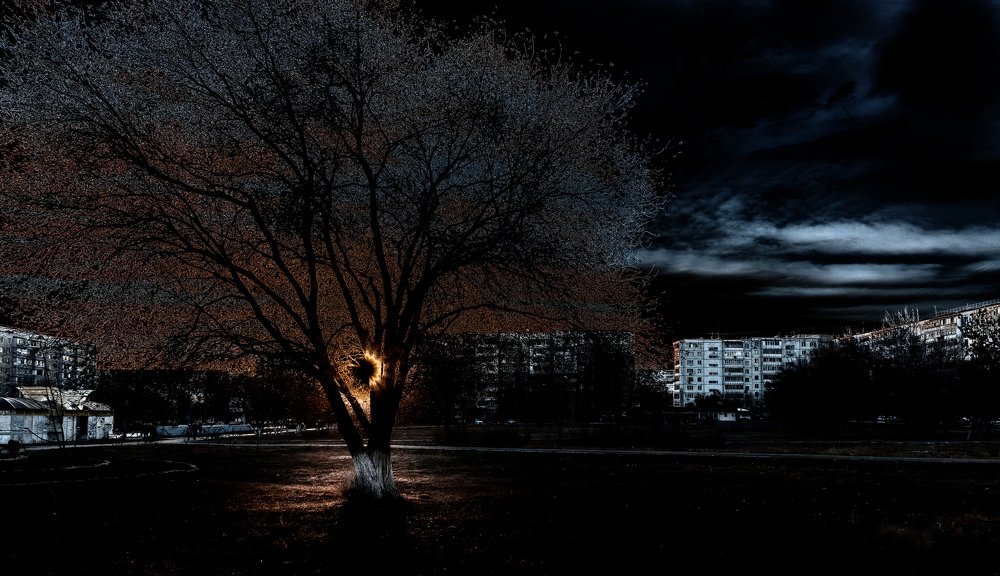 Photograph by Виктор Анциферов