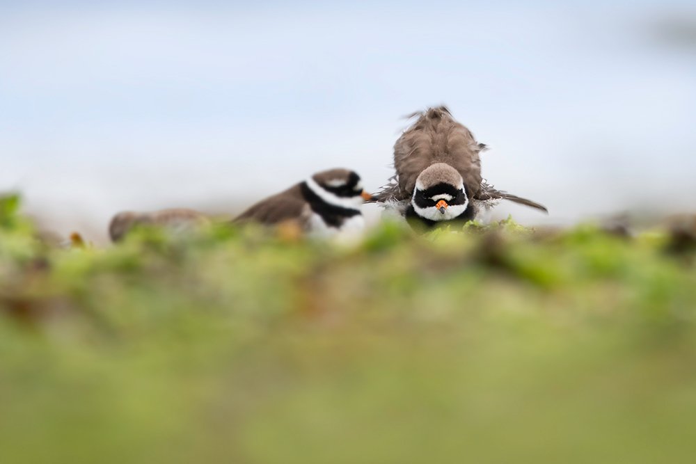 Photograph by Noa Táboas