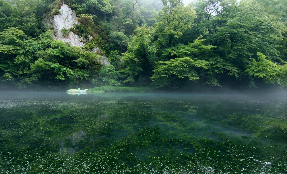 Photograph by ALBERT