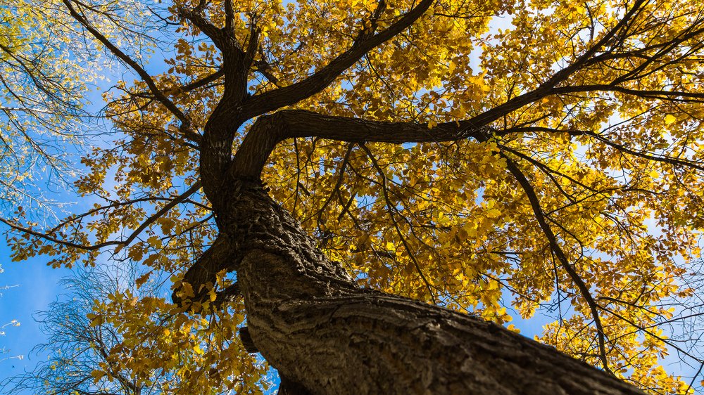 Photograph by Виктор Анциферов