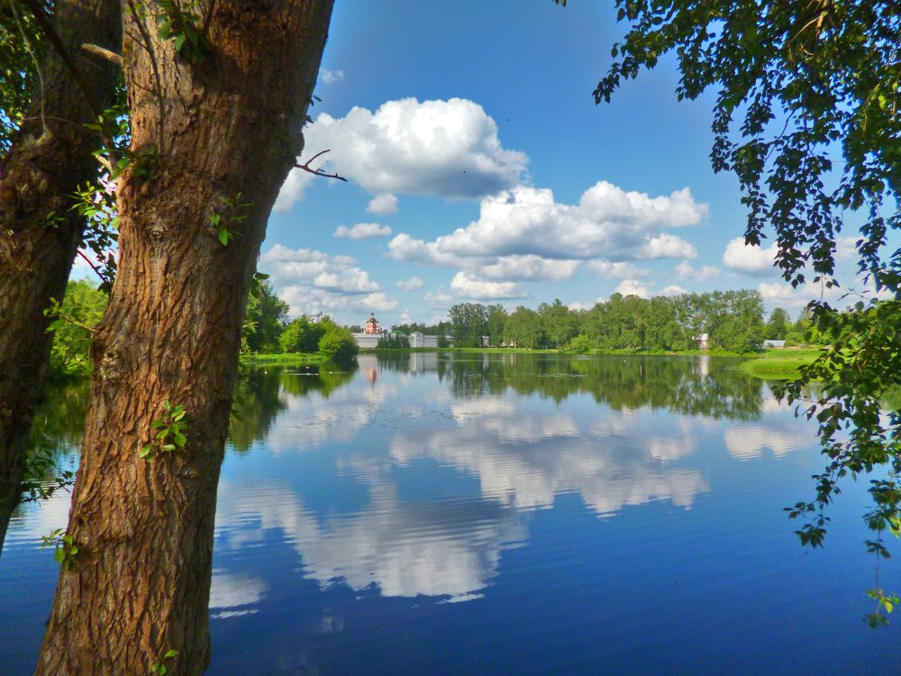 Летняя благодать