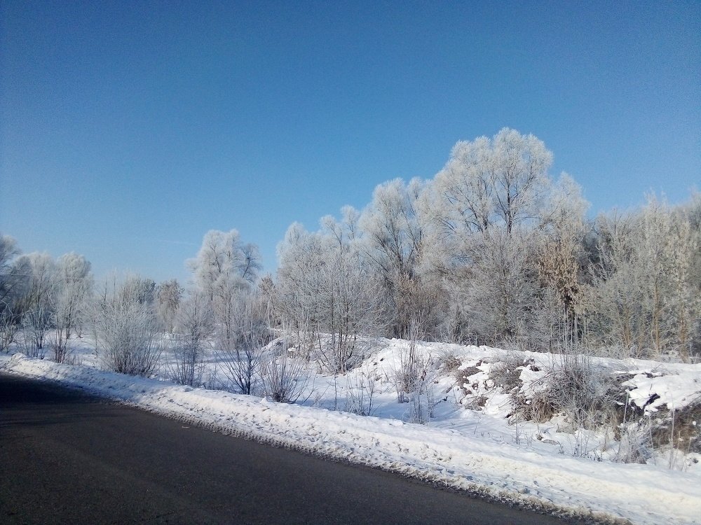 Photo #4314913