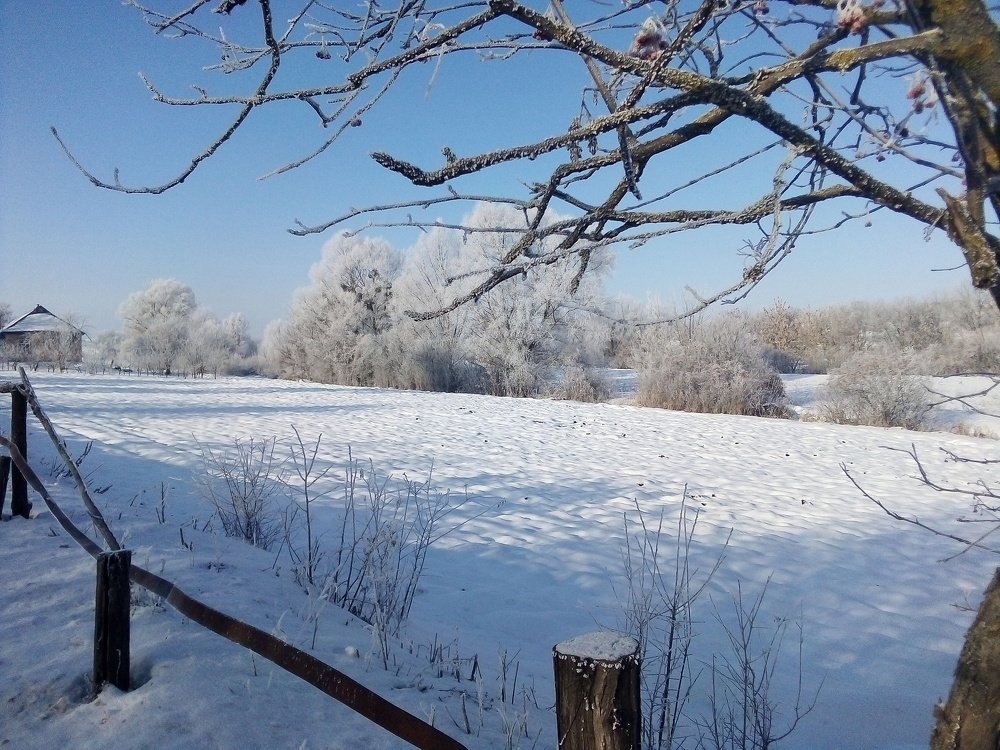 Photo #4314971