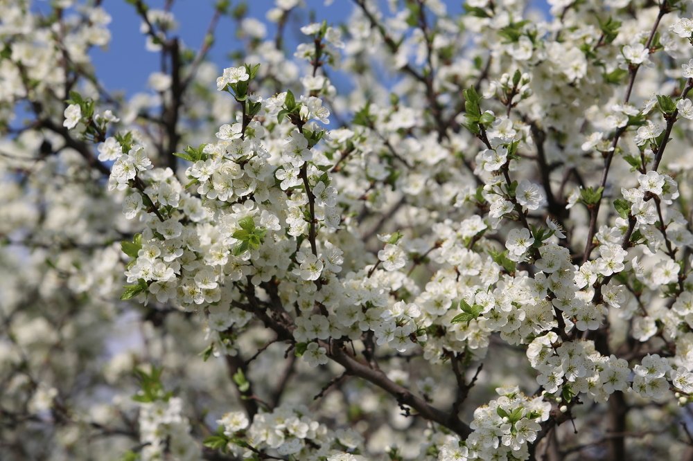 Photograph by Dmitriy Milovanov