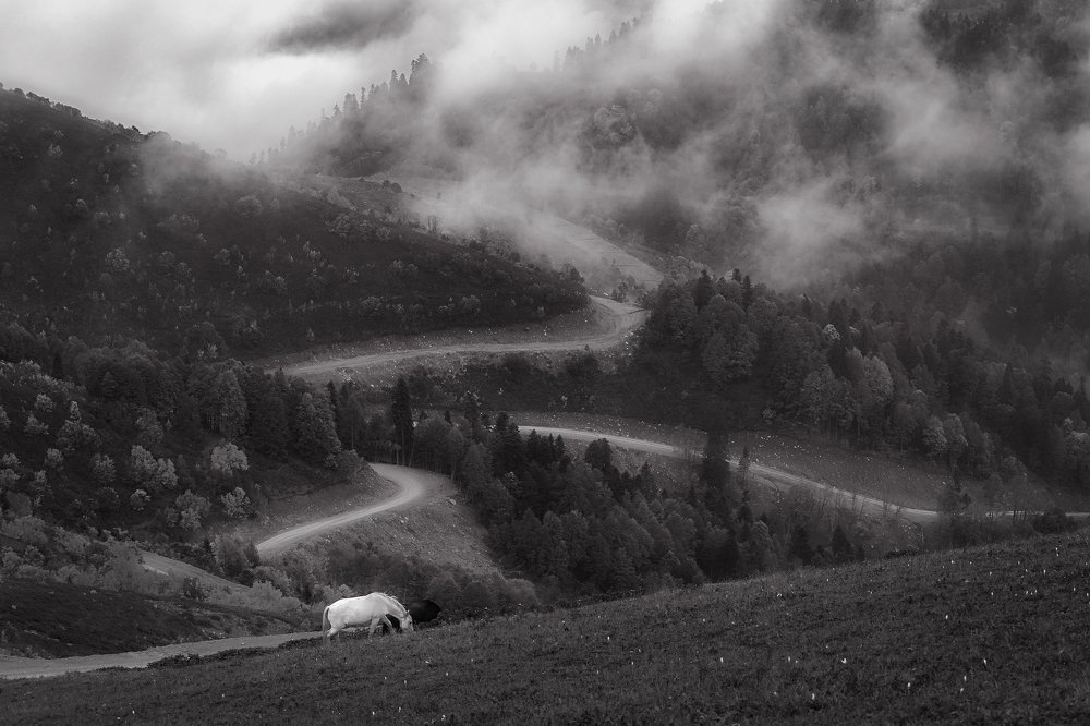 Photograph by Екатерина Дмитренко