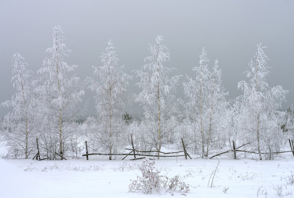 Photograph by Игорь Кляхин