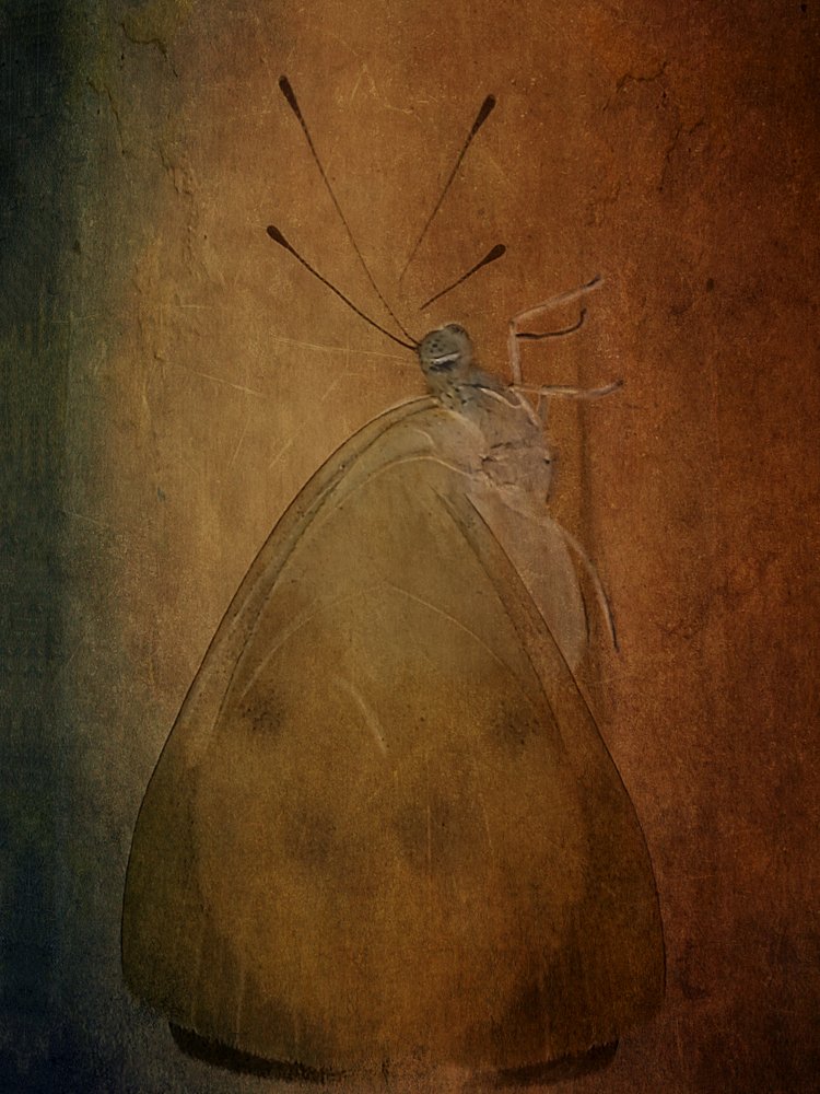 Photograph by Наталия Звиададзе