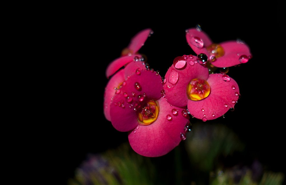 Photograph by Данил Мандрыгин