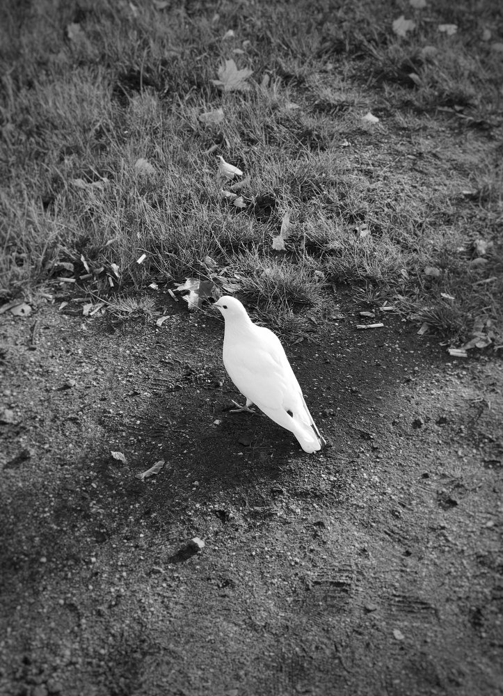 Photograph by Александра Иванова