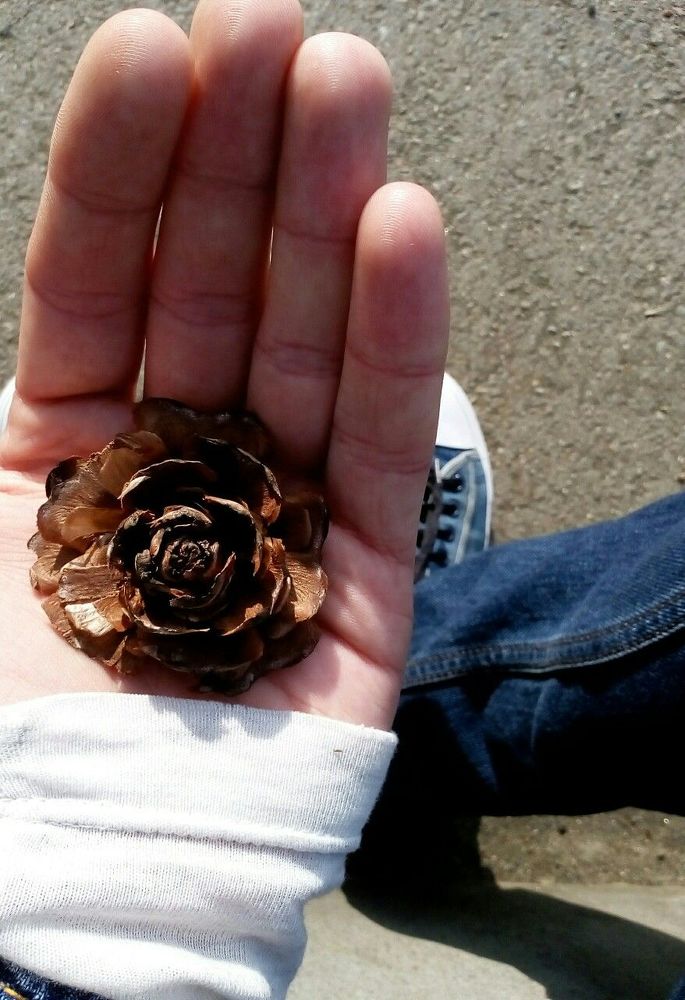 Photograph by Nikolozi Berishvili