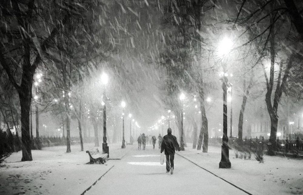 Photograph by Ирина Князева