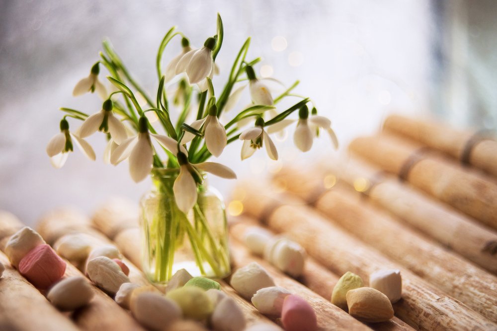 Photograph by Елена Вапняр