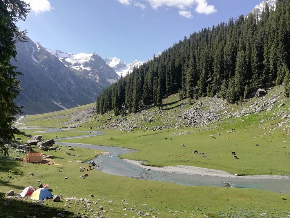 Jahazbanda Meadows KPK Pakistan