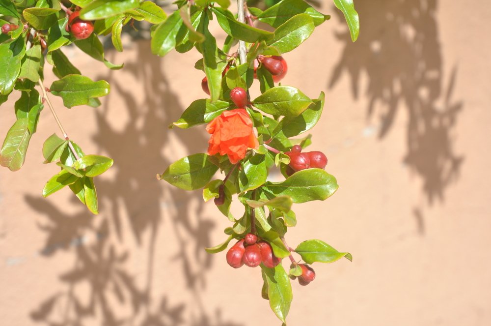 Photograph by Нуриля Аметакунова