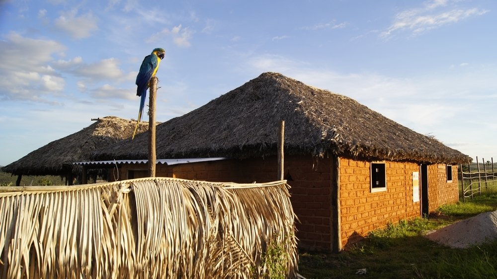 Photograph by João Carlos Soares Barreto