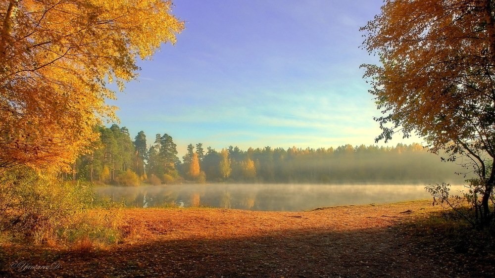 Photograph by Дмитрий Янтарев