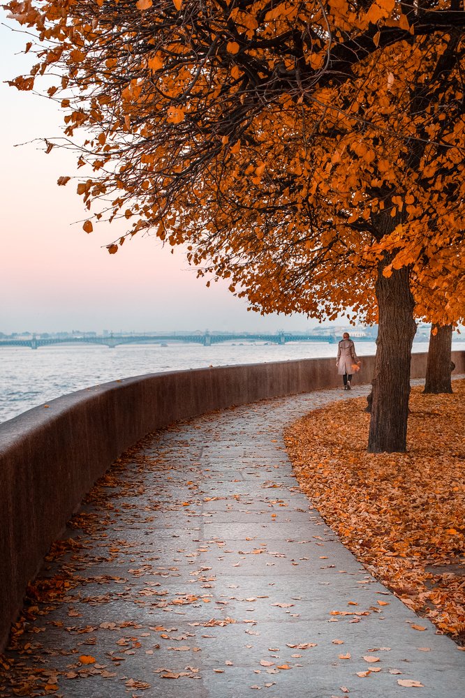 Photograph by ирина лебедева