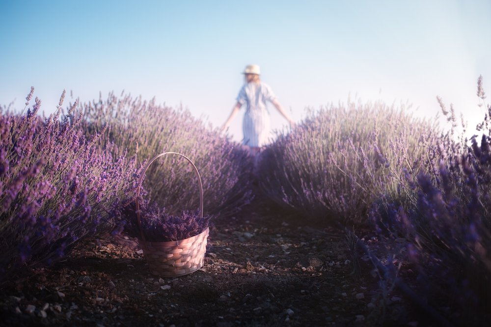 Photograph by Maxim Sayapin