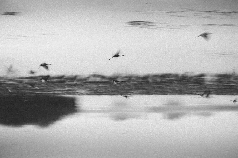 Photograph by Maxim Sayapin