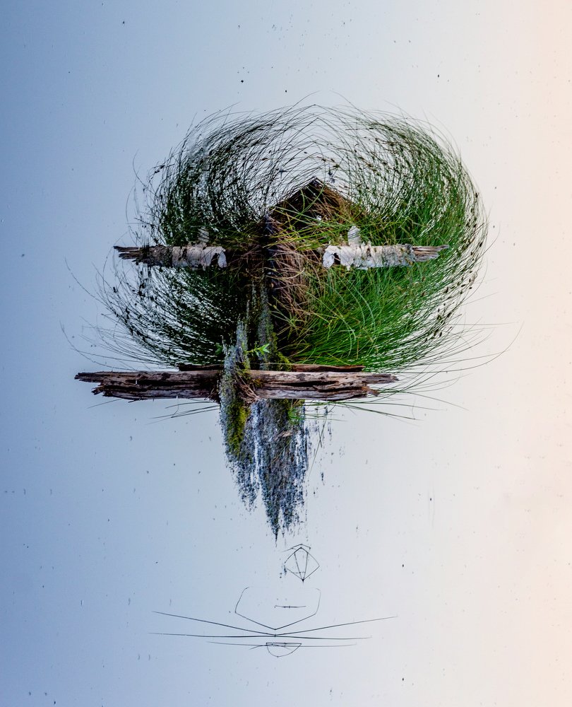 Photograph by Ирина Вершинина