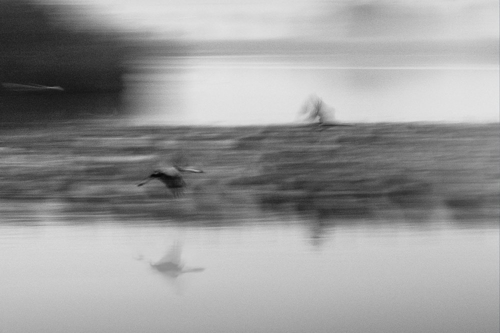 Photograph by Maxim Sayapin