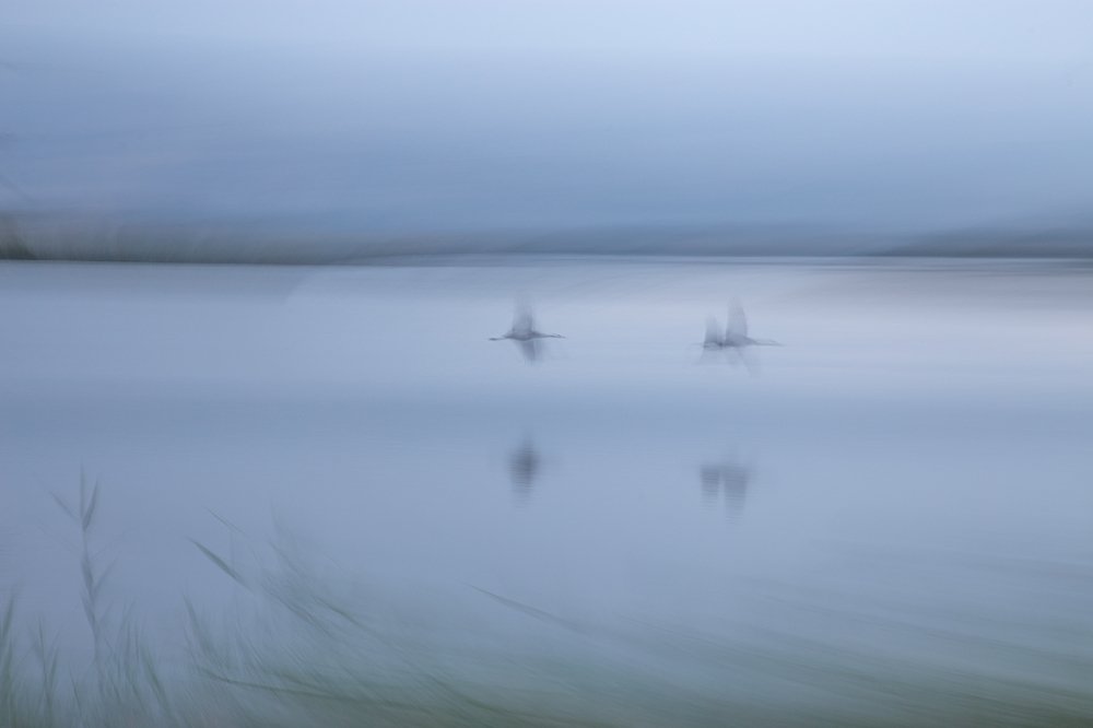 Photograph by Maxim Sayapin