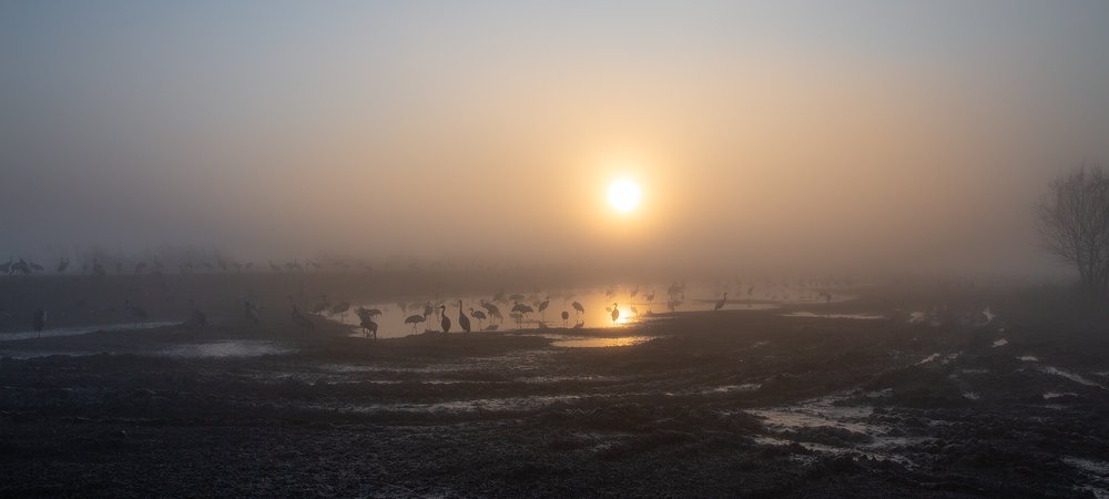 Photograph by Maxim Sayapin