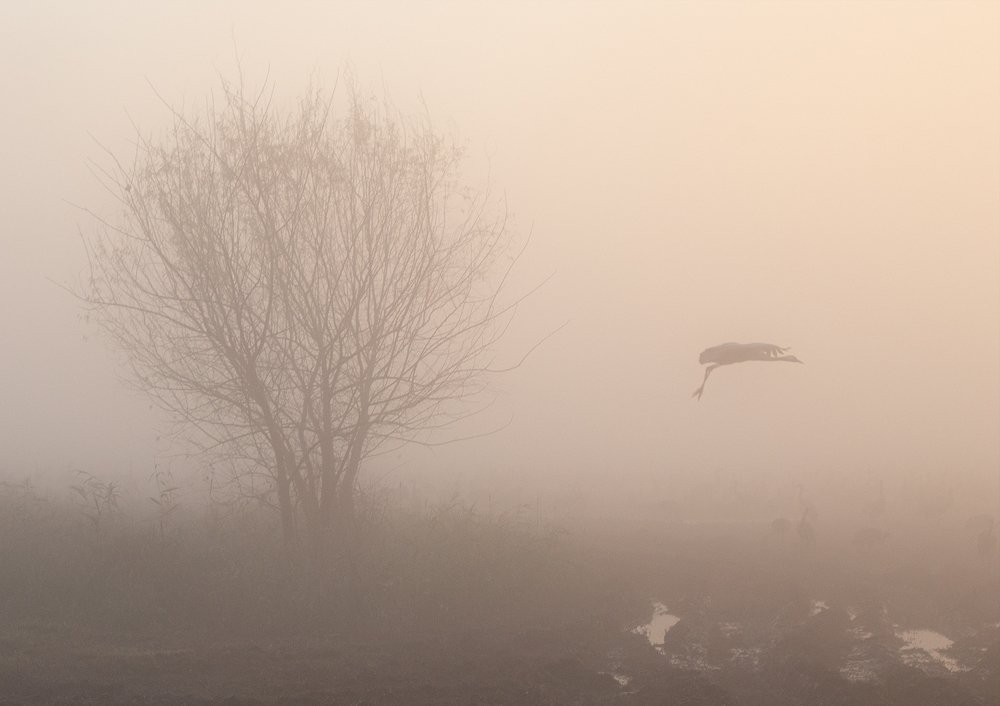 Photograph by Maxim Sayapin