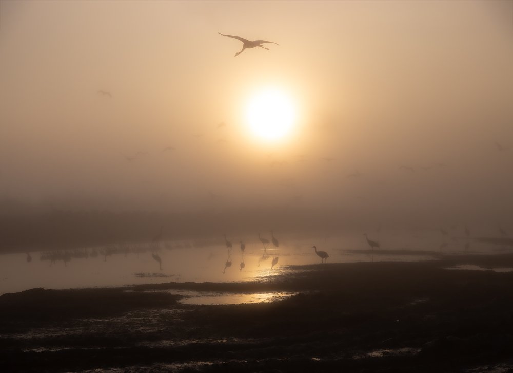 Photograph by Maxim Sayapin