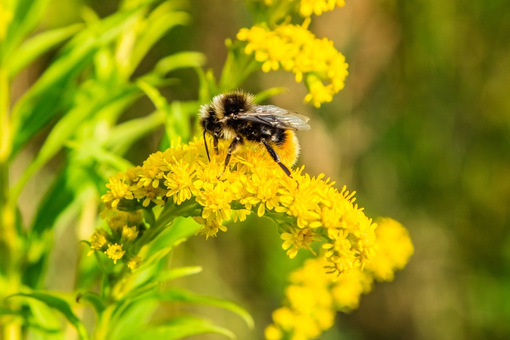 Photograph by Екатерина Бочарова